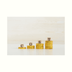 Czemu koszty robocizny rosną w firmie budowlanej?